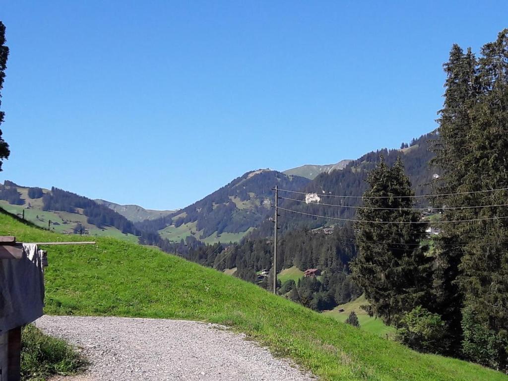 Ferien in der Bergwelt von Adelboden room 1