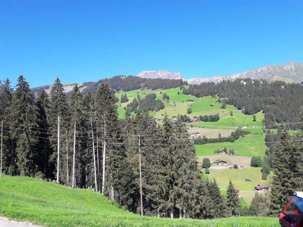 Ferien in der Bergwelt von Adelboden room 2