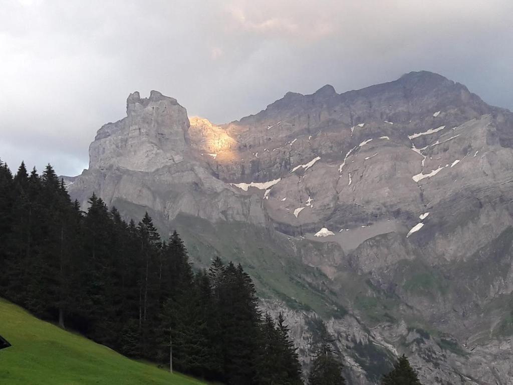 Ferien in der Bergwelt von Adelboden room 3